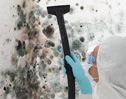 Why You Should Choose Our Mold Remediation Services in Avon, MN